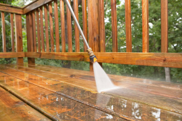 Best Roof Cleaning and Mildew Removal in Bruce, MS